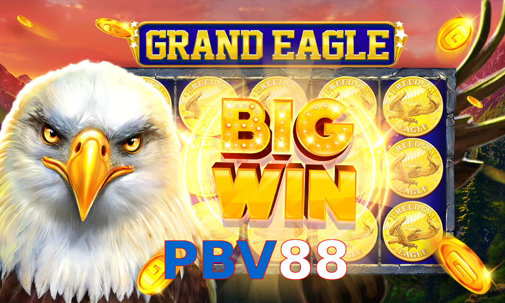 PBV88